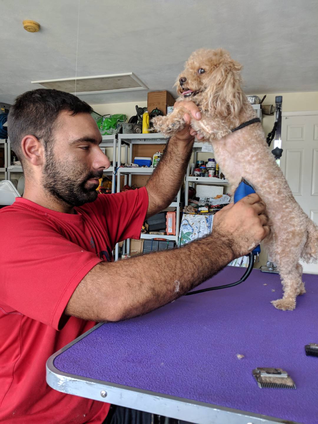 Online booking Best Friends Keeper Mobile Dog grooming