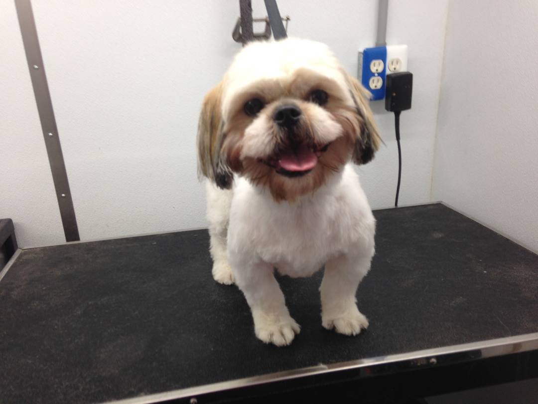 Online booking Mobile Pet Grooming Inc