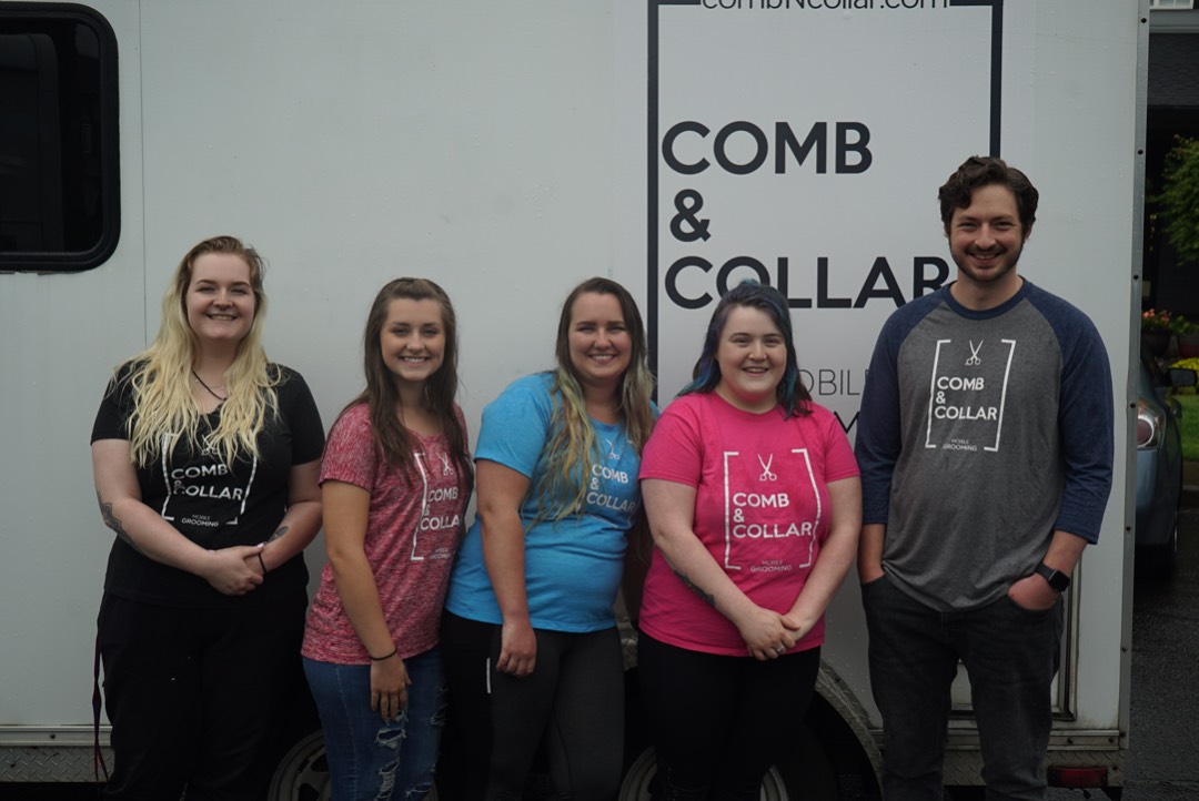 Online booking Comb & Collar Mobile Grooming