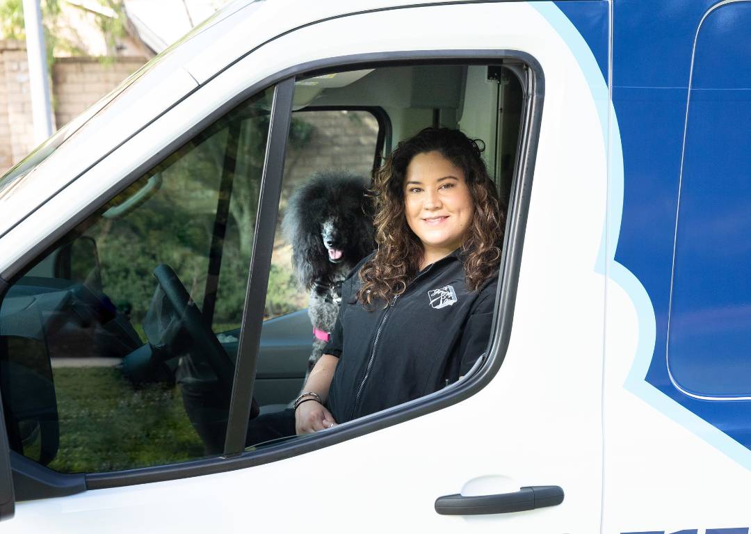 Online booking The Groom Vroom