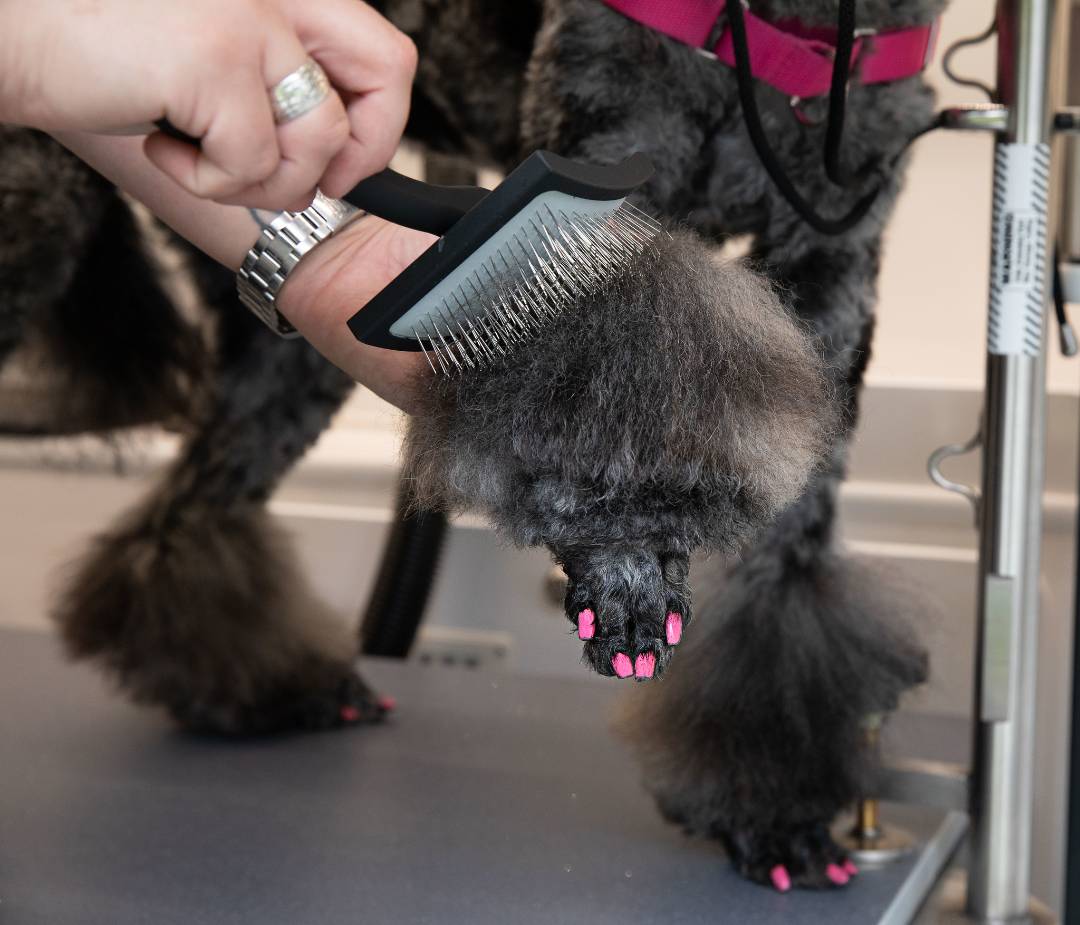 Online booking The Groom Vroom