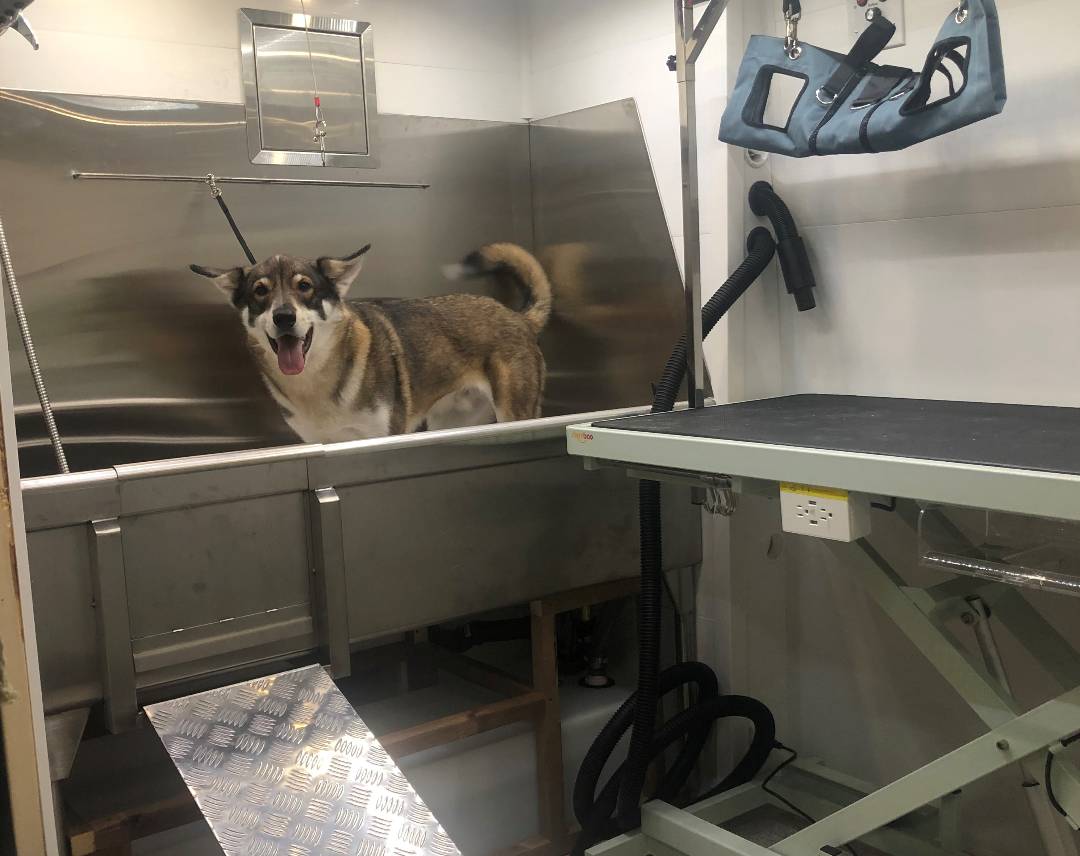 Online booking Prairie Seashell Pet Care