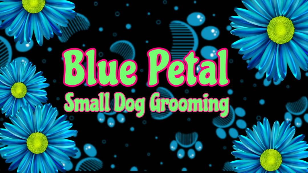 Online booking Blue Petal Small Dog Grooming