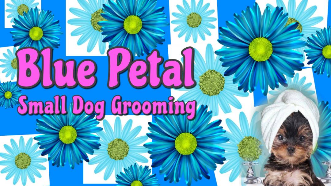 Online booking Blue Petal Small Dog Grooming