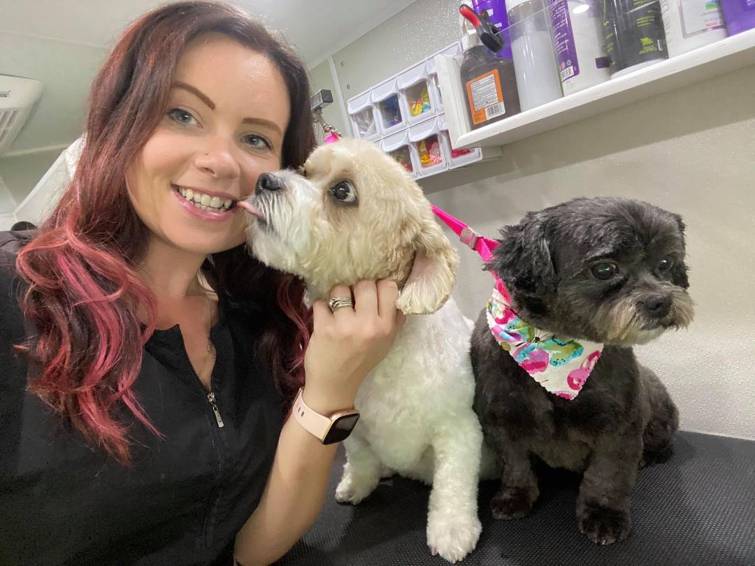 Online booking Pink Poodle Mobile Grooming