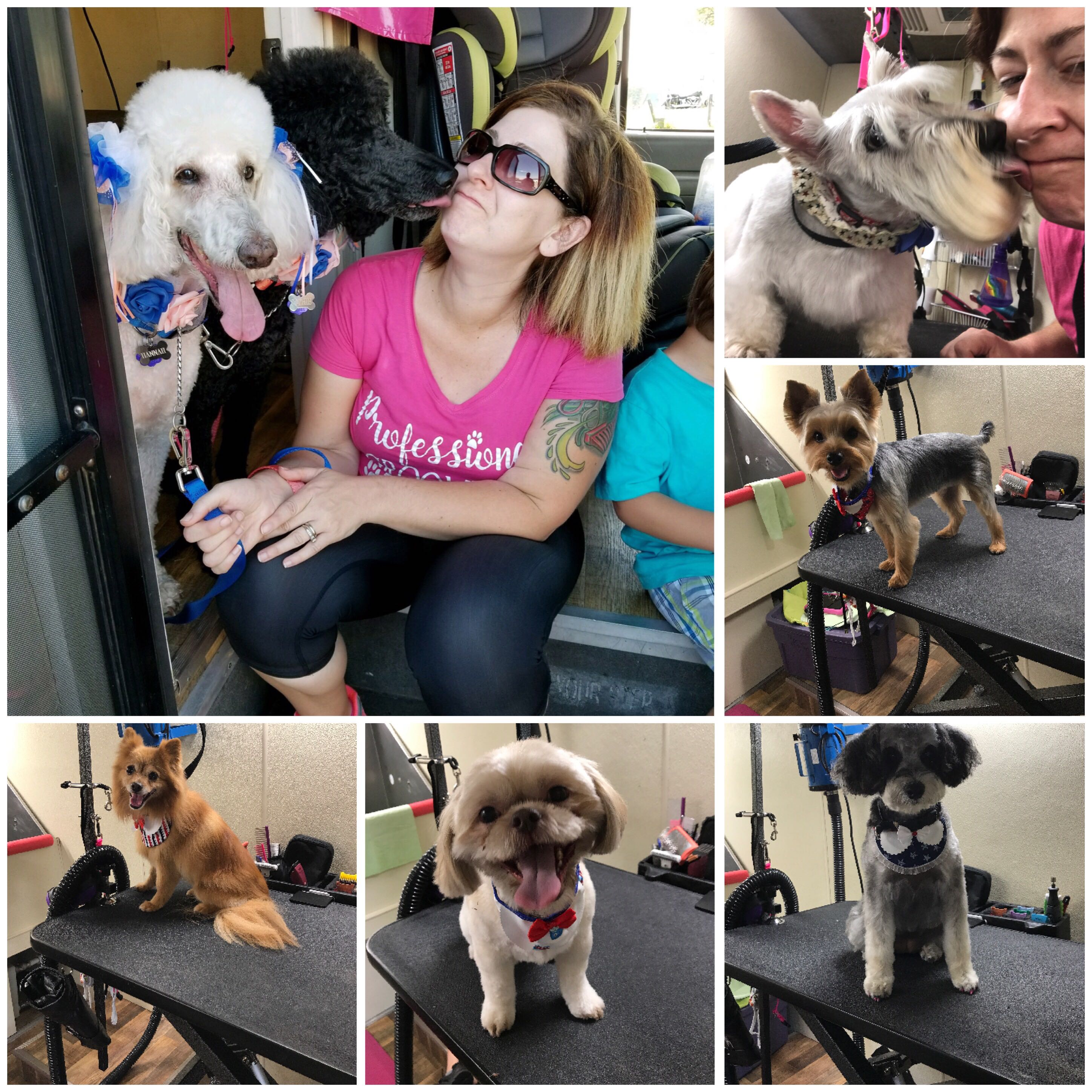 Online booking Wiggles And Wags Mobile Dog Spa