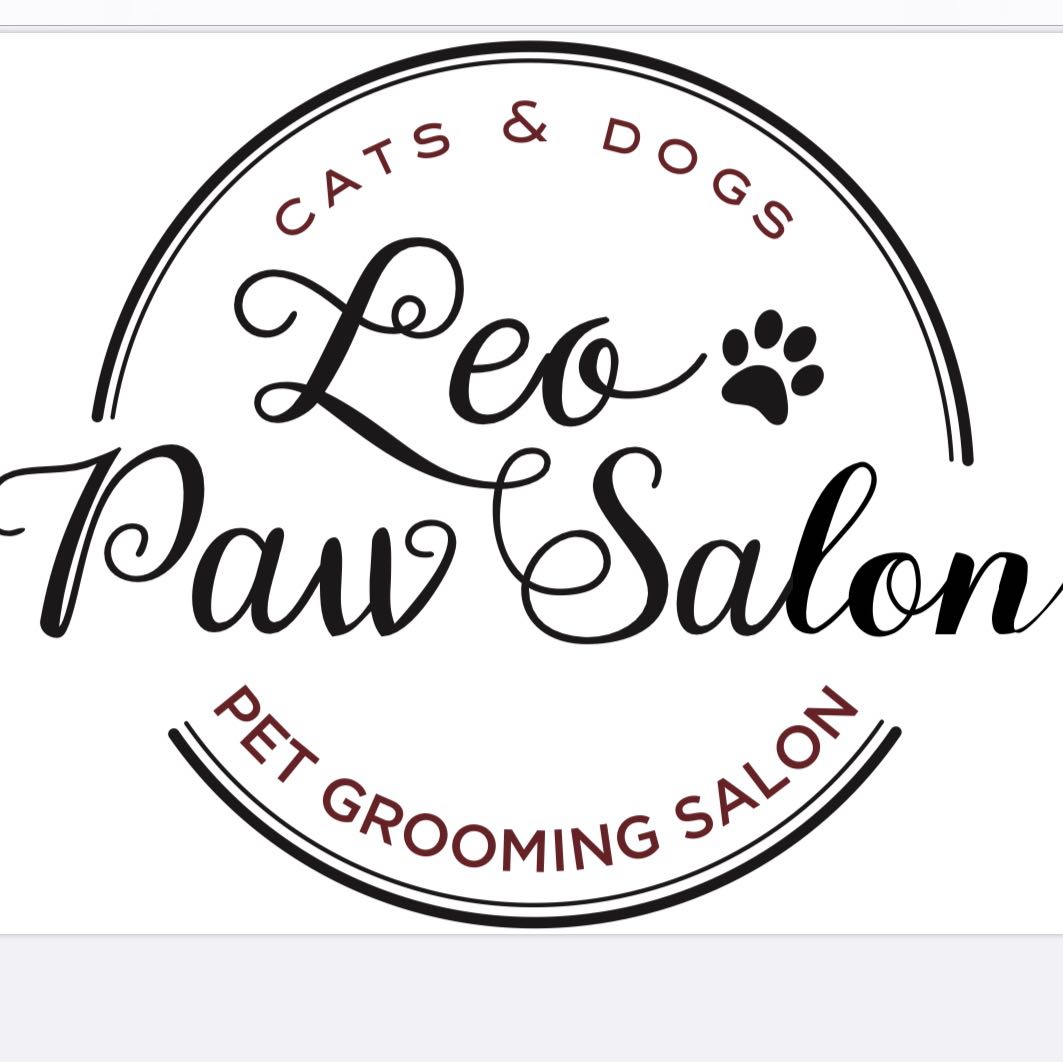 Online booking Leo paw salon