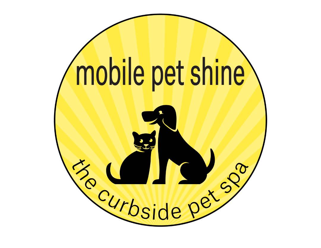 Intake Update Form Mobile Pet Shine intake-update-form-mobile-pet-shine