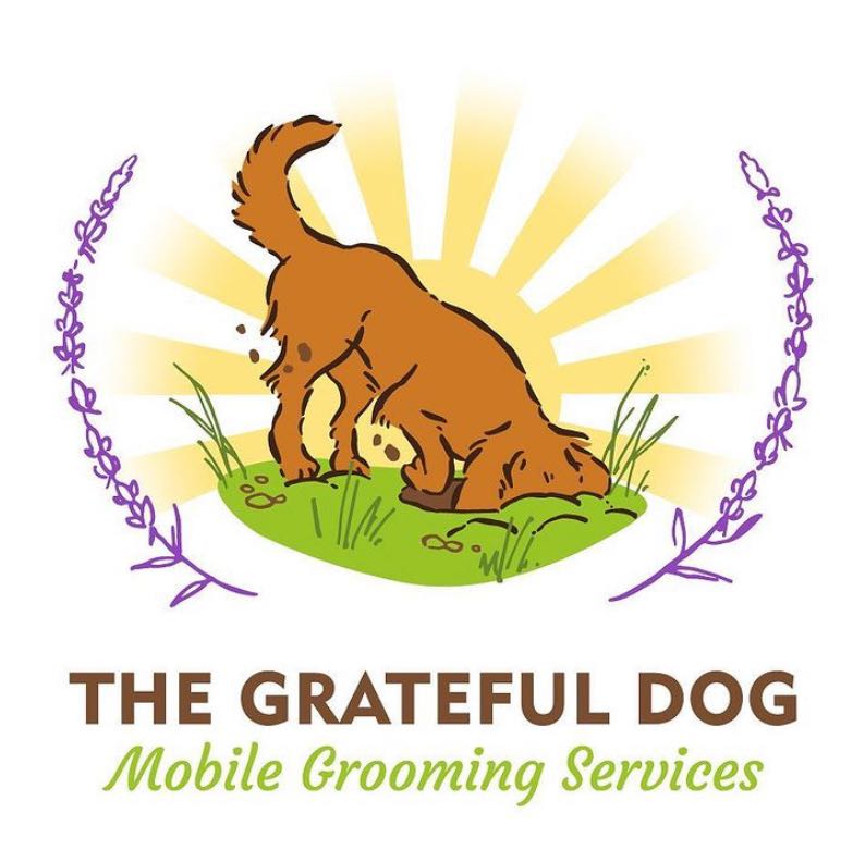 Intake form The Grateful Dog Grooming